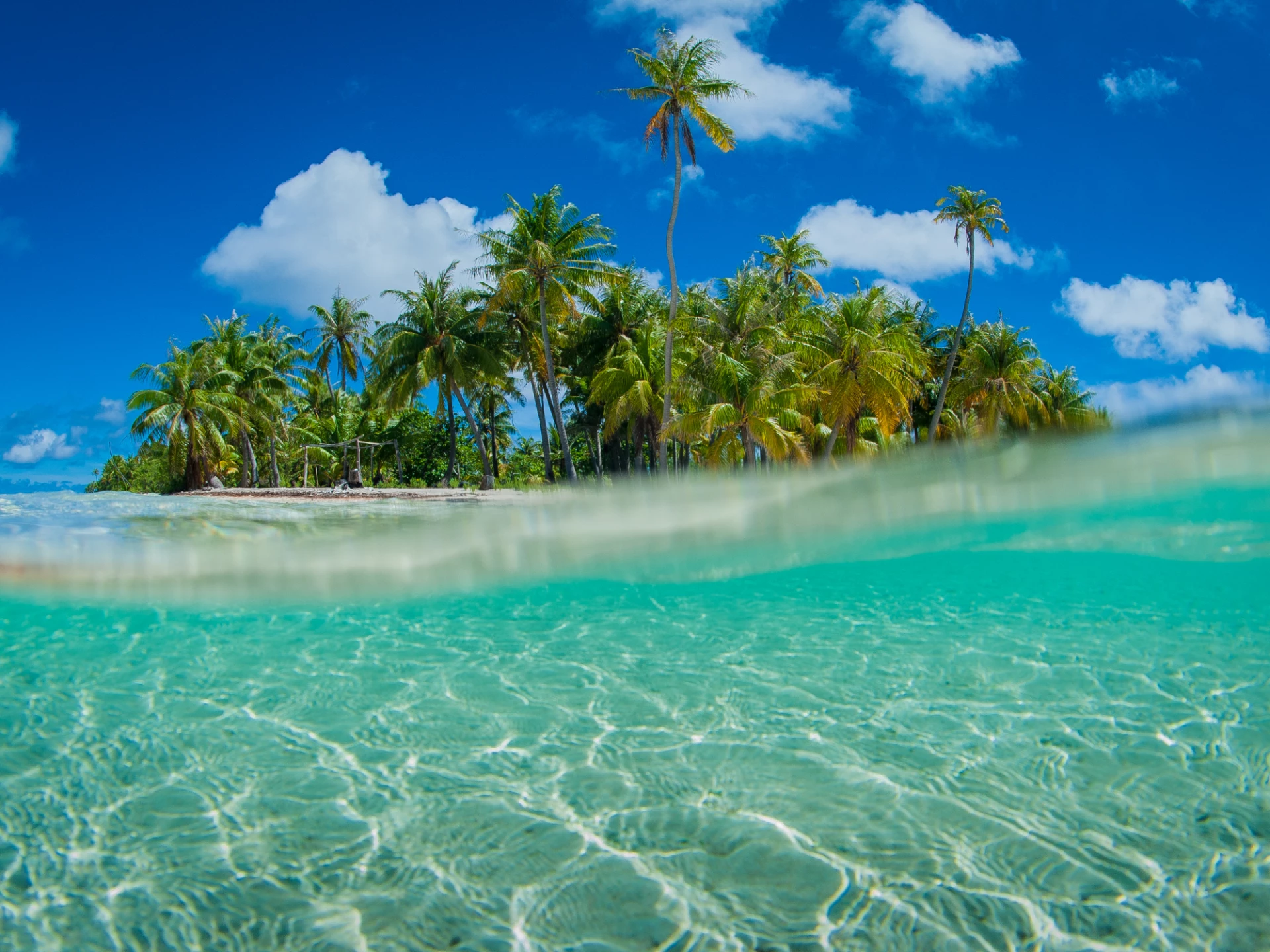 An Island Guide To Rangiroa