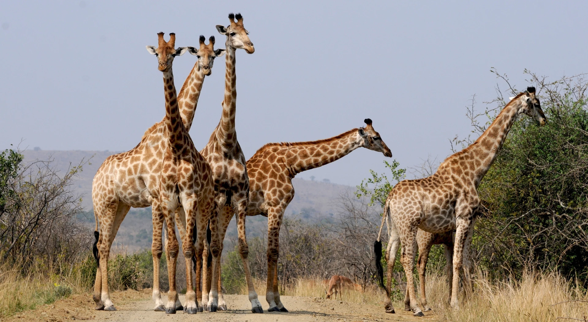 The Best Things to do in South Africa