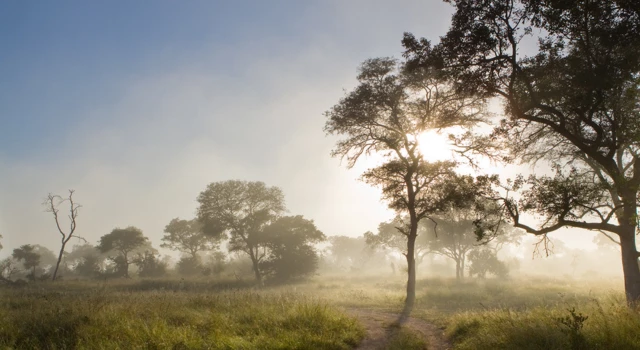 Sabi Sands Game Reserve