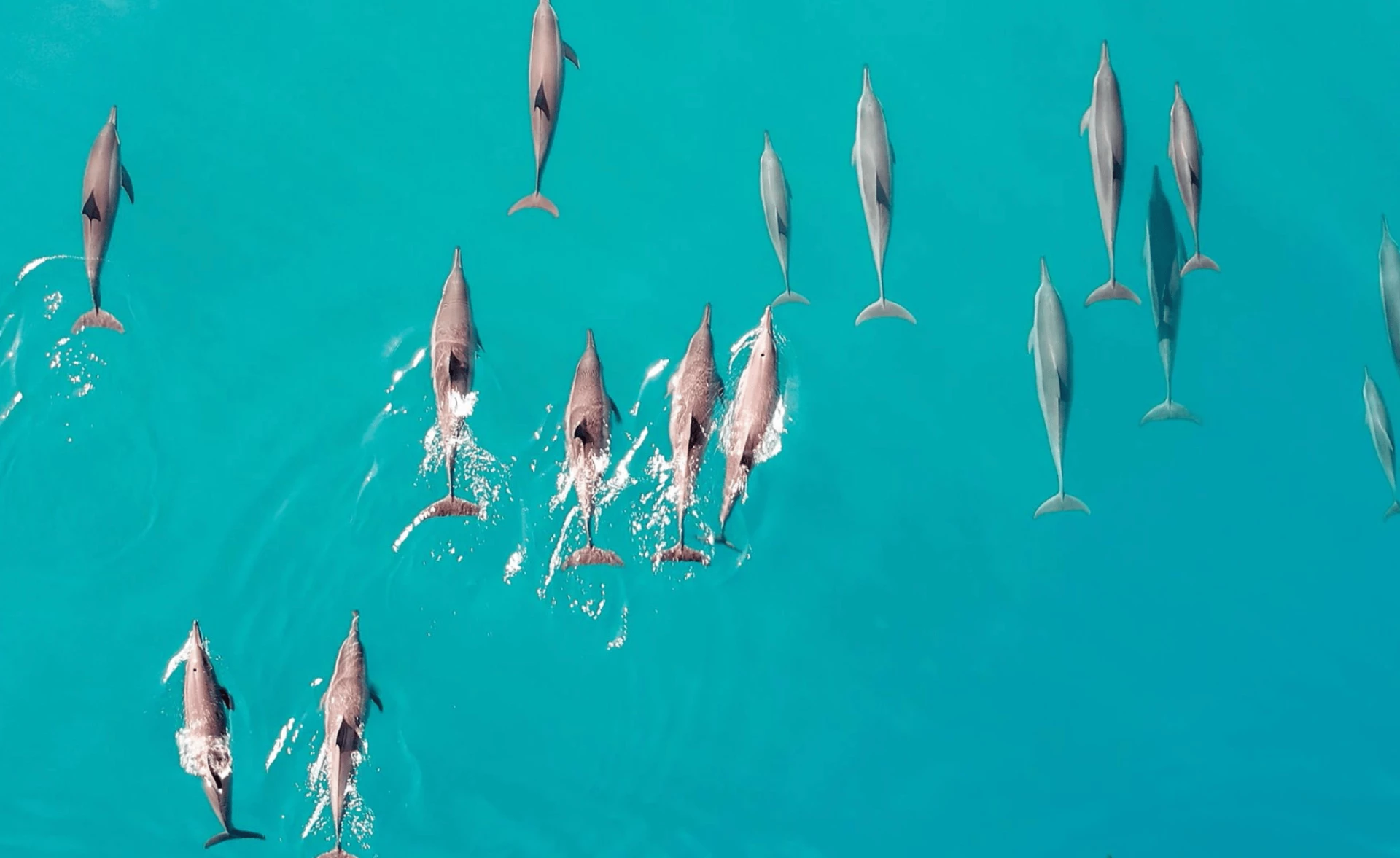 The Ritz-Carlton Maldives