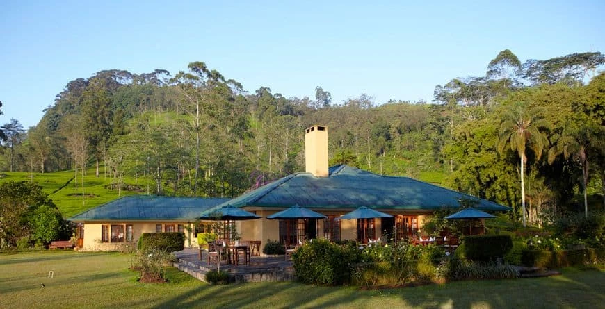 Ceylon Tea Trails