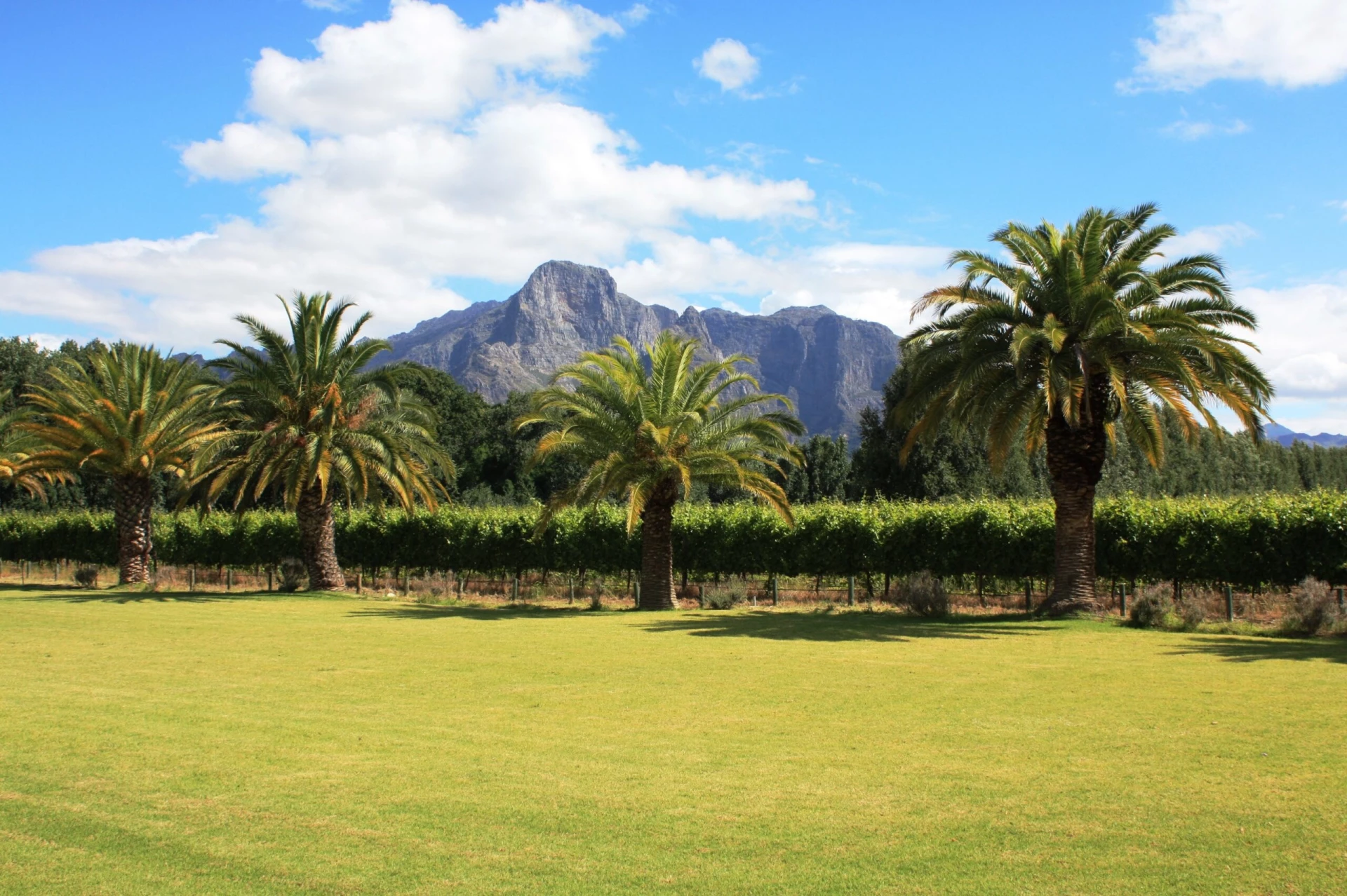 The Franschhoek Wine Tram