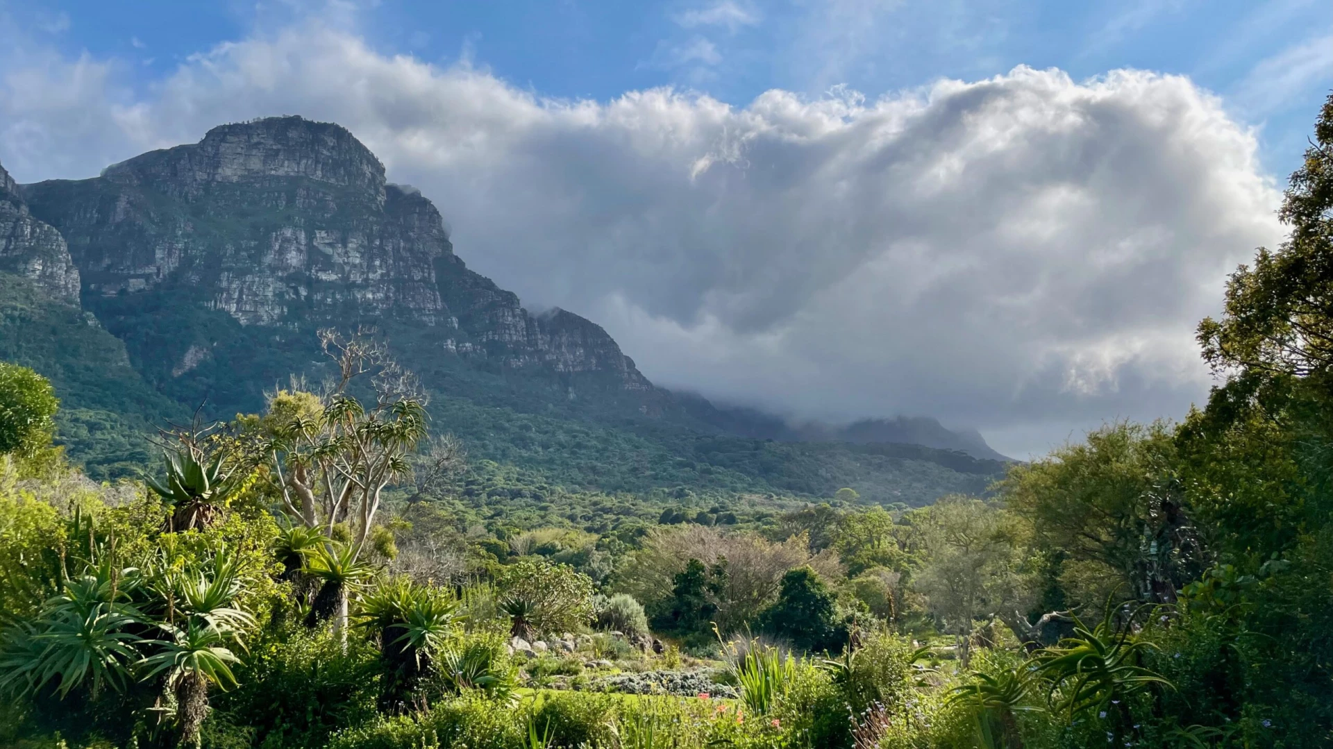 Kirstenbosch Botanical Garden